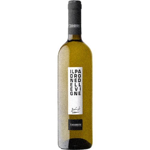 Bianco Umbria Igt " Il Padrone delle Vigne " - Tabarrini